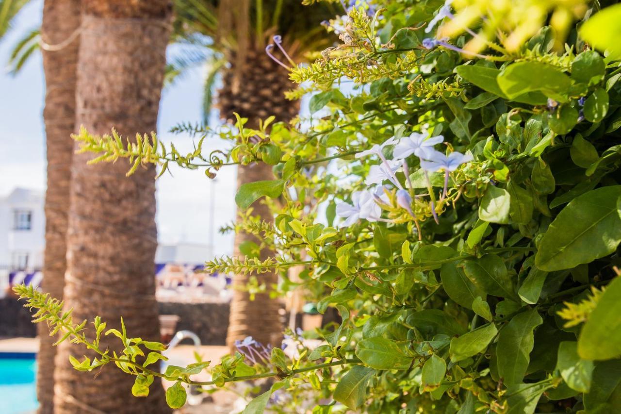 Apartahotel Tulipanes Puerto del Carmen (Lanzarote)